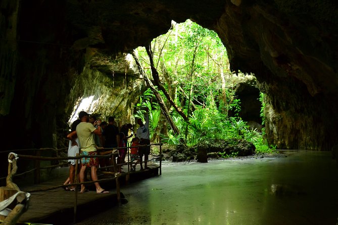 Tortugas & Cenotes Snorkel With Turtles Tour - What to pack for a smoother day