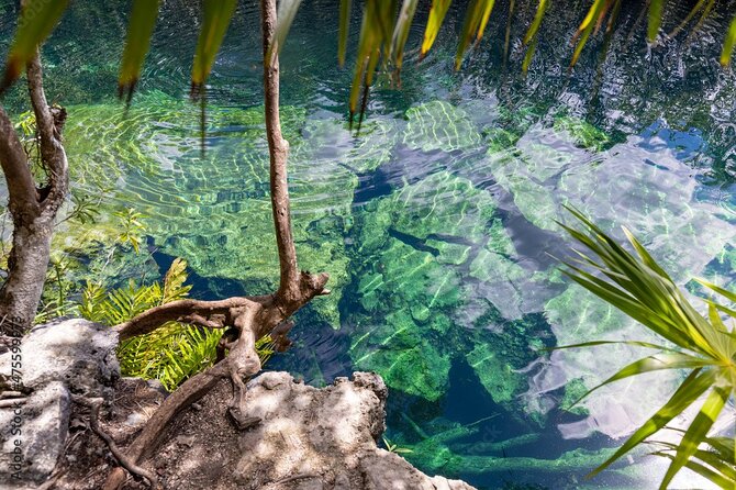 Tour 4 Cenotes Casa Tortuga Tulum. Food + Zipline. Includes Pickup. - Pickup from Playa del Carmen and the long road to the cenotes