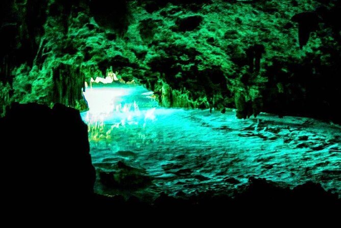 Tour Cenote Santa Cruz - What your guide explains along the way