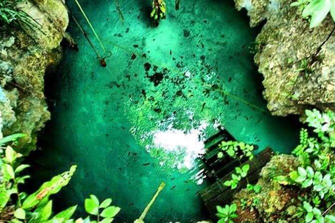 Tour Cenote Santa Cruz - Mosquitoes and the jungle approach