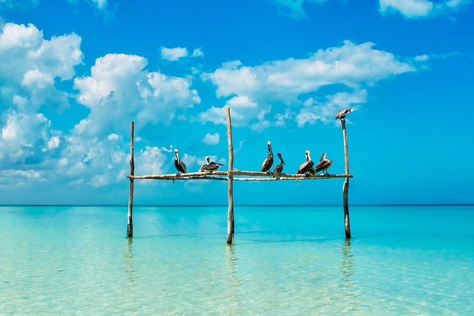 Tour Holbox - Two Island & Cenote from Cancun & Playa Del Carmen - Holbox Island, lunch, and a short island tour