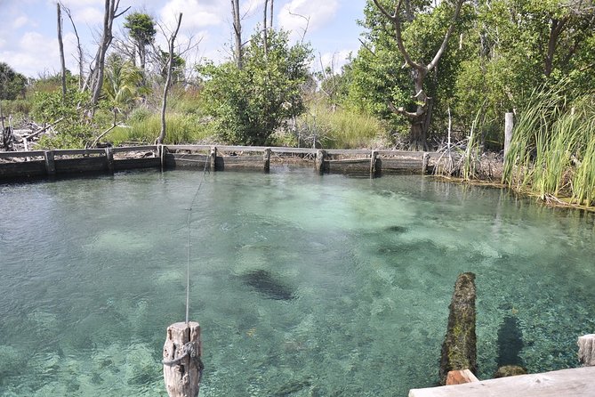 Tour Holbox - Two Island & Cenote from Cancun & Playa Del Carmen - Punta Mosquito and shallow turquoise water