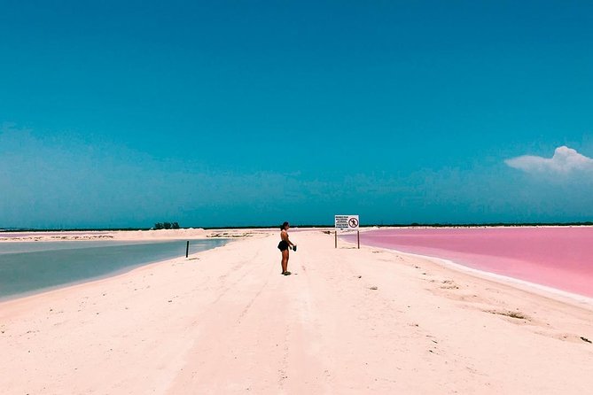 Tour Las Coloradas & Rio Lagartos only from Tulum - Key points to know before booking
