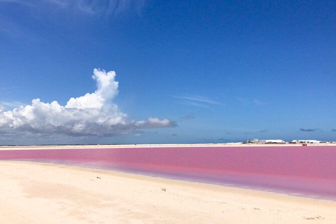 Tour Las Coloradas & Rio Lagartos only from Tulum - Shared transport: the biggest practical concern