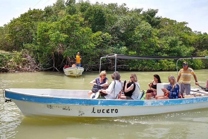Tour Las Coloradas & Rio Lagartos only from Tulum - Who will get the most from this excursion