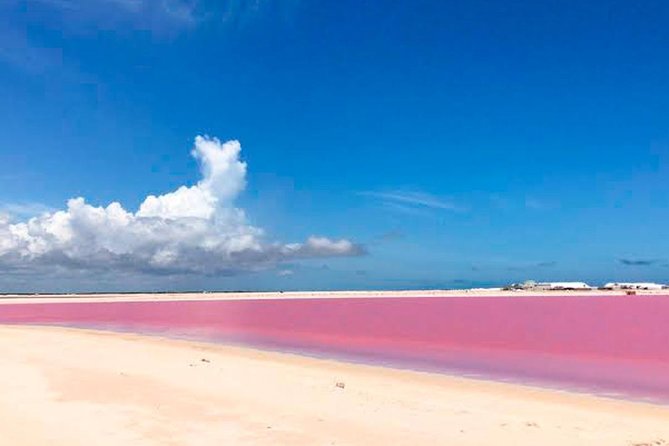 Tour Las Coloradas & Rio Lagartos only from Tulum - The day from Tulum: an early start and a long return