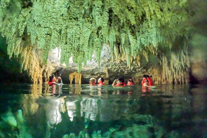 Tour to Cenote Cave and Sea Turtles Encounter - Key points at a glance