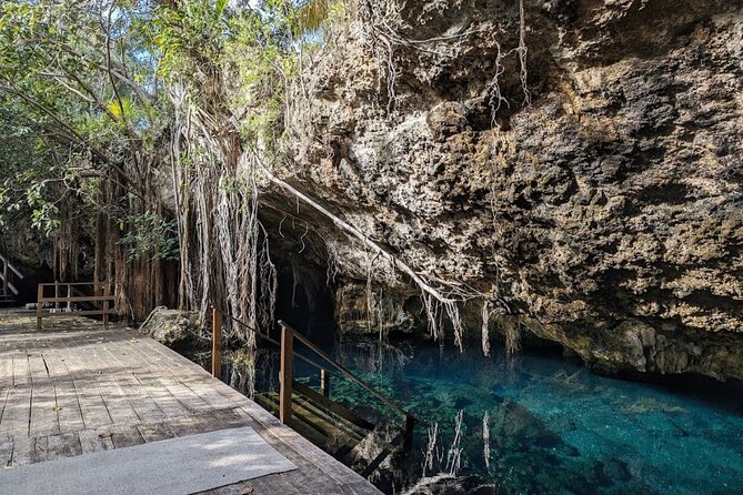 Tour to Cenote Cave and Sea Turtles Encounter - Two very different swims in one half-day
