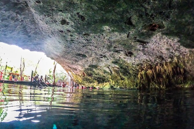 Tour to Cenote Cave and Sea Turtles Encounter - Is $119.69 a fair price?