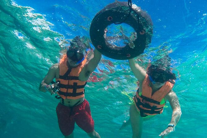 Tour to swim with turtles - Beginner-friendly help from Aaron’s team