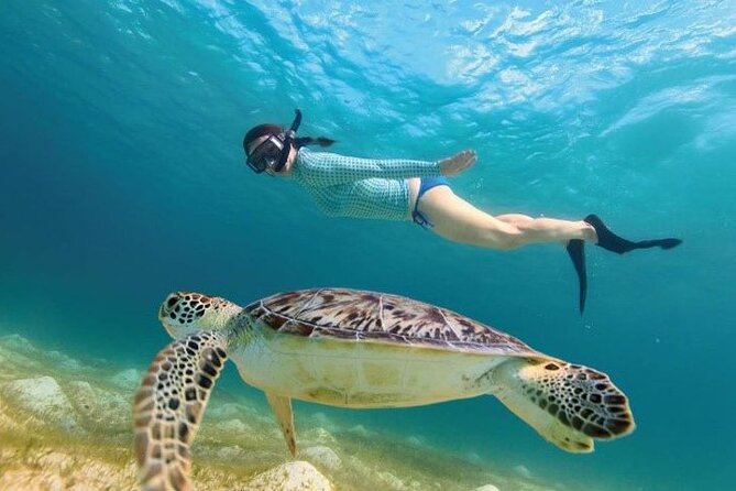 Tour to Tulum and cenote with swimming with turtles from Riviera Maya - Tulum’s cliffs, Maya buildings, and sea views