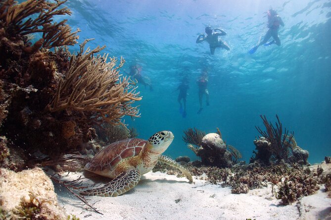 Tour to Tulum and cenote with swimming with turtles from Riviera Maya - What to pack for nearly 12 hours