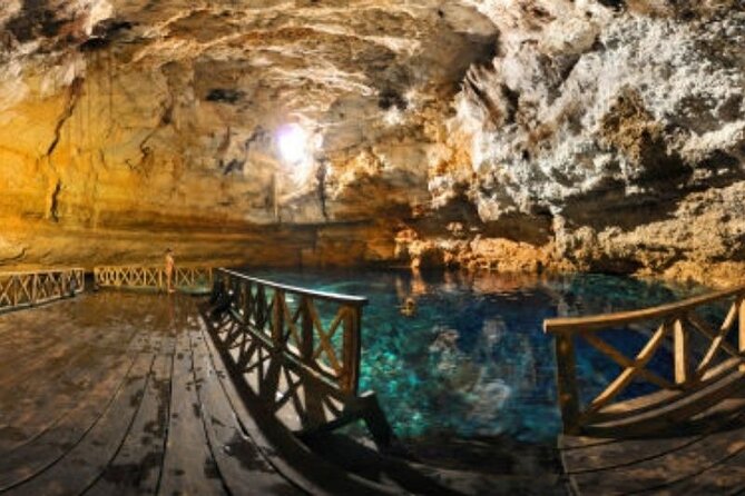Tour Tulum Coba Cenote and Playa del Carmen (4 in 1) - Playa del Carmen: one hour on Fifth Avenue