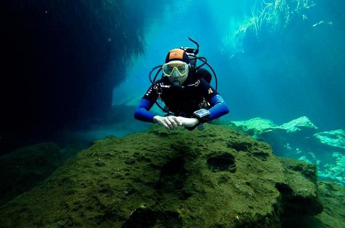 Try dive in beautiful Casa cenote for 2 people - The Second Session Lets You Enjoy More