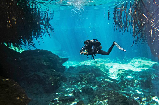 Try dive in beautiful Casa cenote for 2 people - Who Will Enjoy This Most