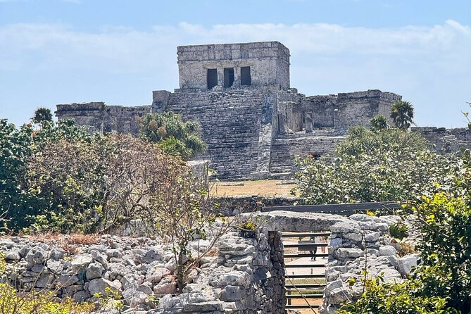 Tulum + 2 Cenotes & Authentic Taco Adventure - Key points to know before booking