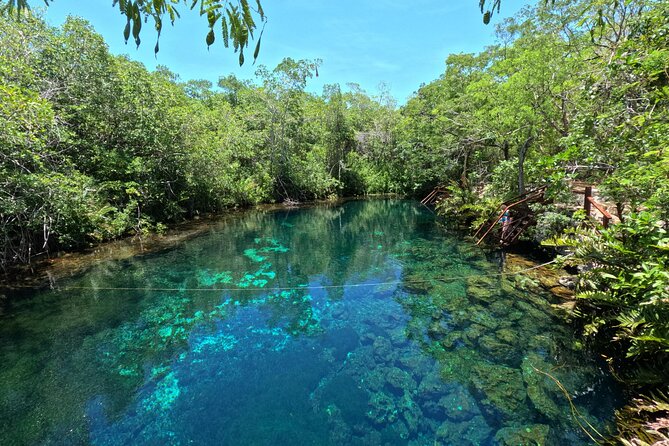Tulum + 2 Cenotes & Authentic Taco Adventure - What the $260 price really buys you