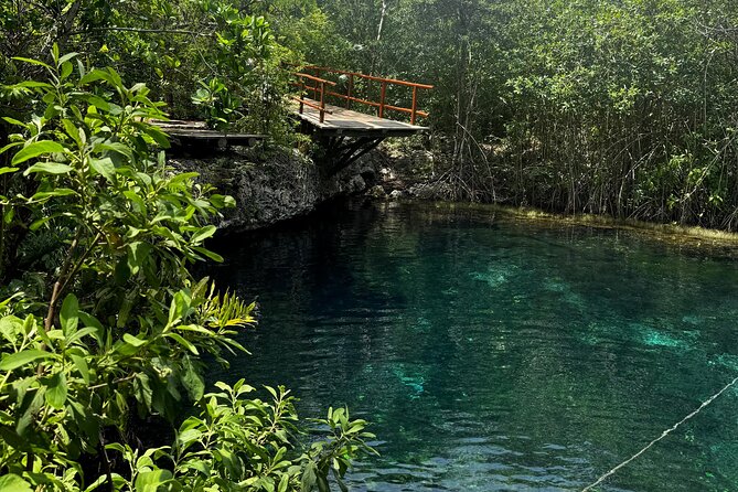Tulum + 2 Cenotes & Authentic Taco Adventure - Practical details for a smoother day