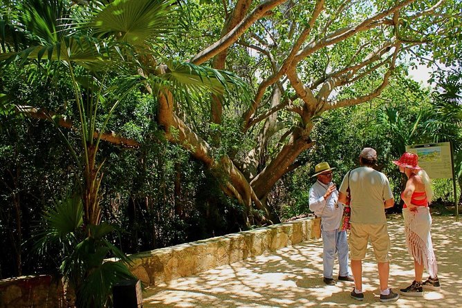 Tulum and Cenote Casa Tortuga Day Trip - Timing: a six-hour label with a longer day in practice
