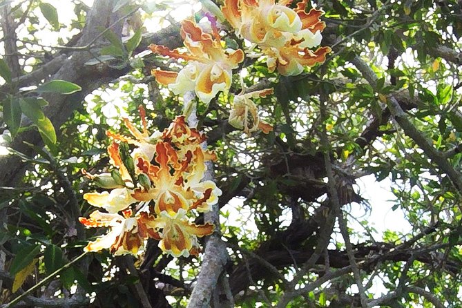 Tulum Archaeological Site & Sian Ka'an Muyil Tour from Tulum - What the float feels like in practice