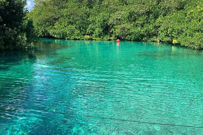 Tulum Area Experiences Guided 2 Tank Scuba Dive Casa Cenote & Barrier Reef-Lunch - Who will get the most from this Tulum scuba outing