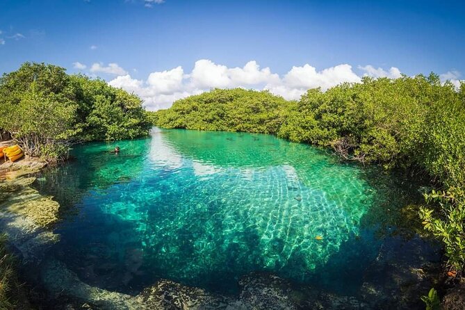 Tulum Area Experiences Guided 2 Tank Scuba Dive Casa Cenote & Barrier Reef-Lunch - Practical details before you book