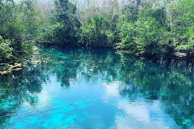 Tulum Area Experiences Guided ATV Tour to 3 Cenote's, Snorkel/Swim & Local Lunch - The final stop brings another natural swimming break