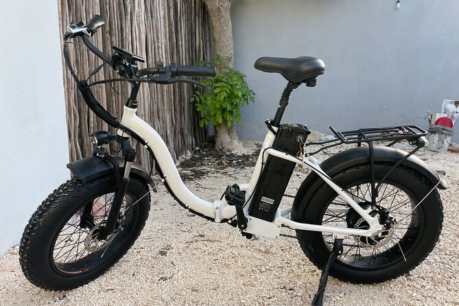Tulum Area Experiences Guided E-Bike Tour- 3 Cenote's Snorkel/Swim & Local Lunch - Guides who shape the day