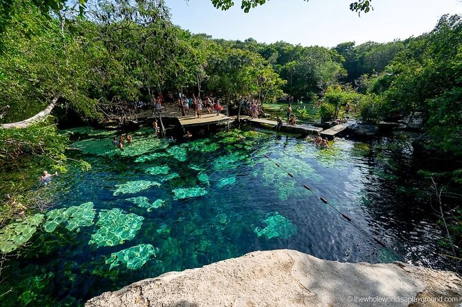 Tulum Area Experiences Guided E-Bike Tour- 3 Cenote's Snorkel/Swim & Local Lunch - Who will enjoy this most?