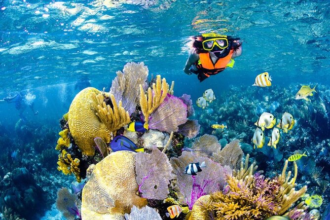 Tulum Area Experiences Guided Snorkeling Tour - Casa Cenote + Ocean Reef & Lunch - Two very different snorkeling stops in one morning