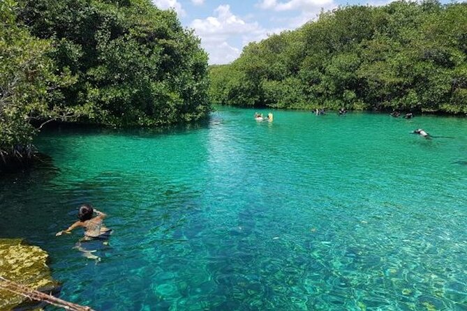 Tulum Area Experiences Guided Snorkeling Tour - Casa Cenote + Ocean Reef & Lunch - What happens when the ocean is rough
