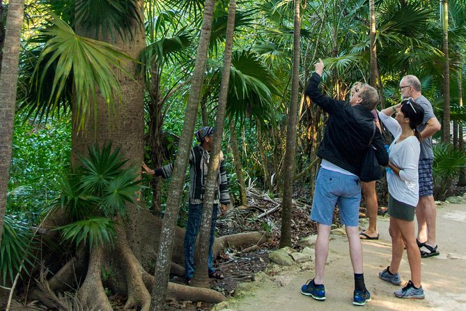 Tulum Bike Tour Tulum Maya Ruins Cenote Swimming Pueblo History Art Tacos Lunch - Swimming at Cenote Crystal