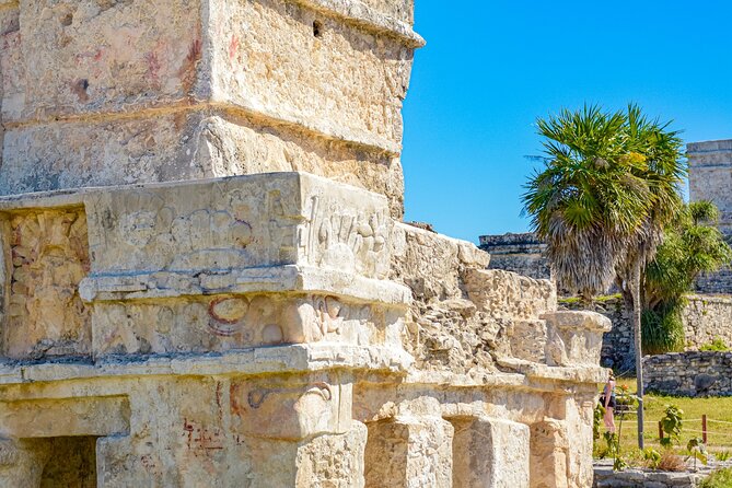 Tulum & Cenote Adventure - Parque Jaguar adds forest and open space