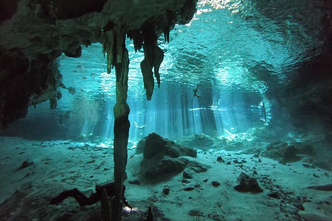 Tulum cenote diving. The ultimate experience in scuba - Points that deserve a careful check