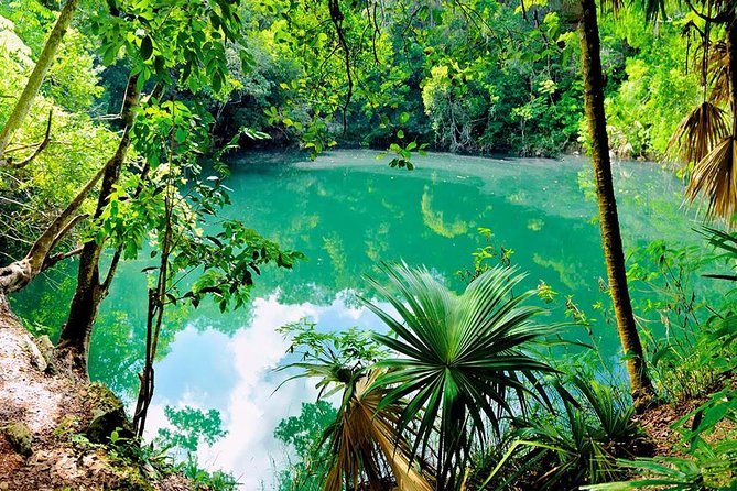 TULUM, CENOTE, MYSTIKA MUSEUM, TURTLES SNORKELING (Private) - Guides who shape the day