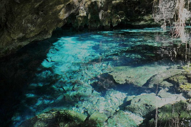 TULUM, CENOTE, MYSTIKA MUSEUM, TURTLES SNORKELING (Private) - Is the $260 price fair?