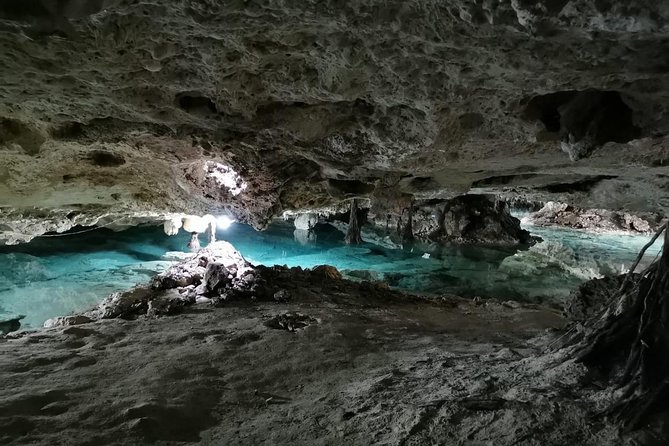 Tulum & Cenotes Private Tour - Drivers who do more than simply drive