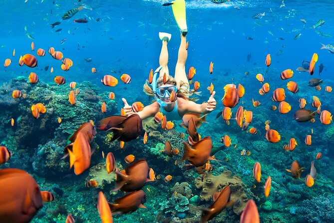 Tulum Day Trip: Pyramids + Reef Snorkel & Cenote Swim - Swimming inside Cenotes Labnaha
