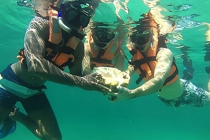 Tulum Day Trip: Pyramids + Reef Snorkel & Cenote Swim - Pickup times, vans, and the pace of the day