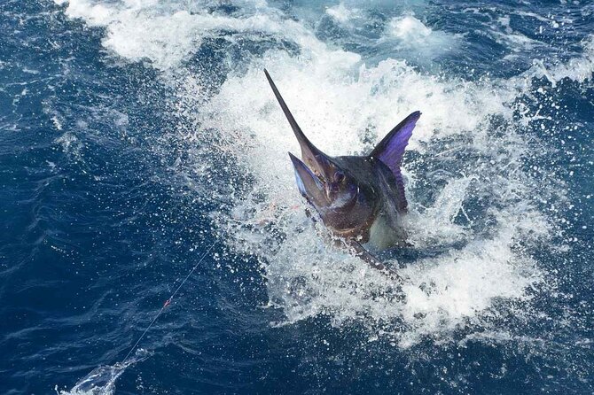Tulum Deep Sea Fishing Tour - Turning your catch into lunch