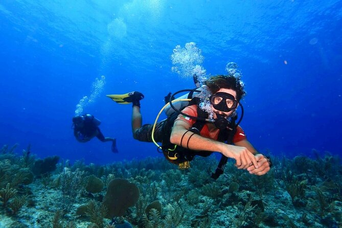 Tulum Diving (Reef) 2 Tanks - What the Tulum Reef outing is really like