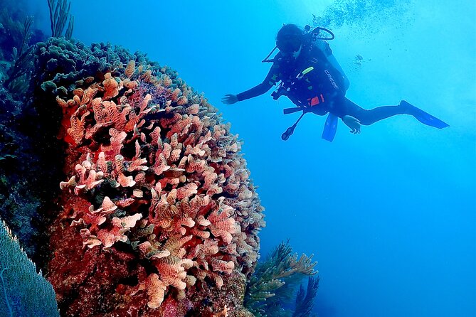 Tulum Diving (Reef) 2 Tanks - Weather, cancellations, and sensible planning