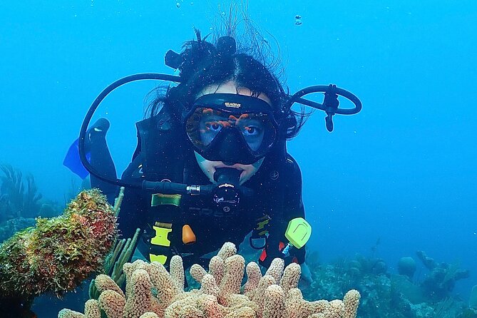 Tulum Diving (Reef) 2 Tanks - Two long sessions instead of one quick look