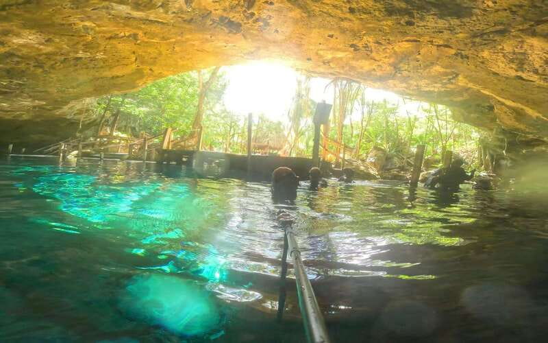 Tulum: Dos Ojos Cenote 2 Scuba Dives with Transfer Option - Key points to know before booking