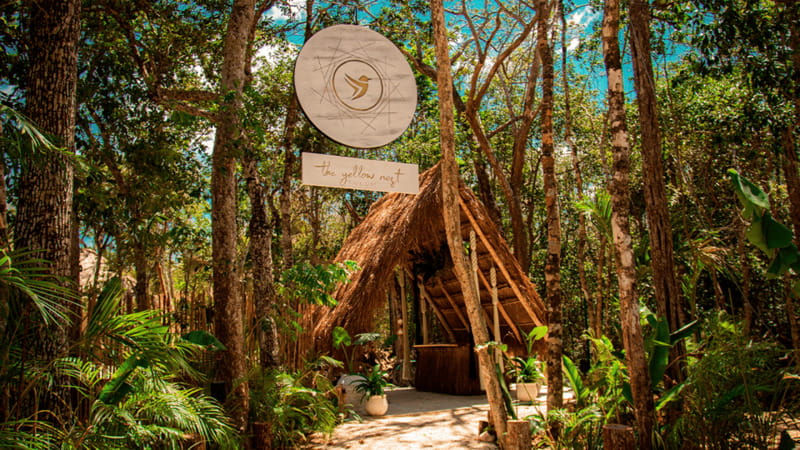 Tulum: Floating Breakfast in The Yellow Nest (Day Pass) - The Temazcal meditation and Mayan tradition