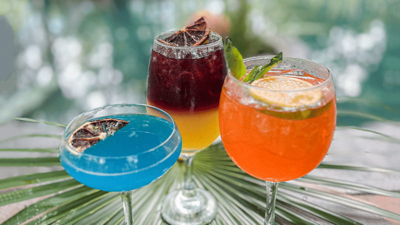 Tulum: Floating Breakfast in The Yellow Nest (Day Pass) - Is $86 per person fair?