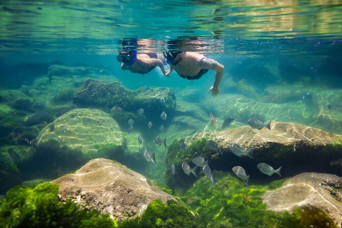 Tulum Guided Tour, Magical Cenote, Lagoon Snorkeling and Beachside Lunch - Punta Venado lunch: a scenic finish, but eat early