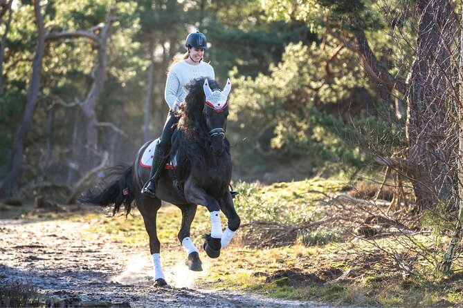 Tulum Jungle Horseback Ride + ATV + Ziplines + Cenote Combo Tour - Meeting your ride in Tulum