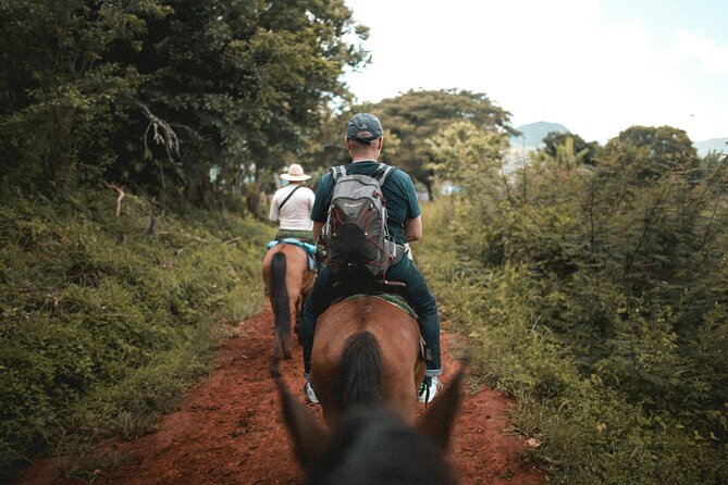Tulum Jungle Horseback Ride + ATV + Ziplines + Cenote Combo Tour - Lunch, hammocks, and the pace of the day