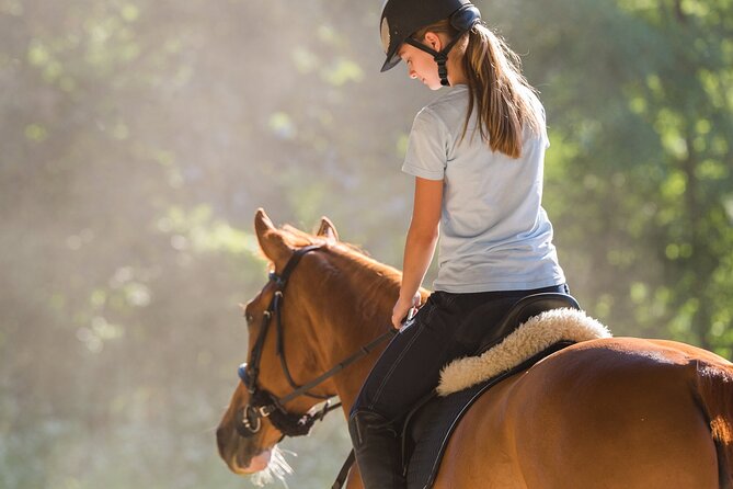 Tulum Jungle Horseback Ride + ATV + Ziplines + Cenote Combo Tour - ATVs through the Maya jungle